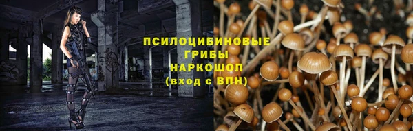дмт Алзамай